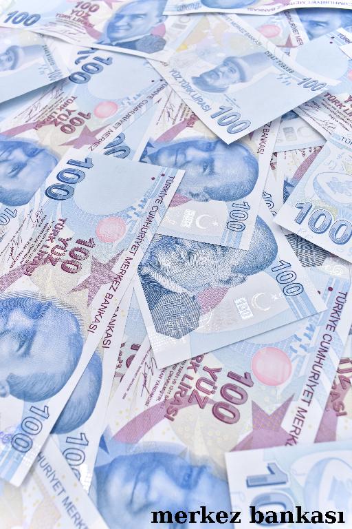 Türk Lirası Likidite Yönetimine İlişkin Basın Duyurusu